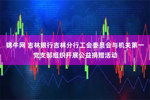 锦牛网 吉林银行吉林分行工会委员会与机关第一党支部组织开展公益捐赠活动