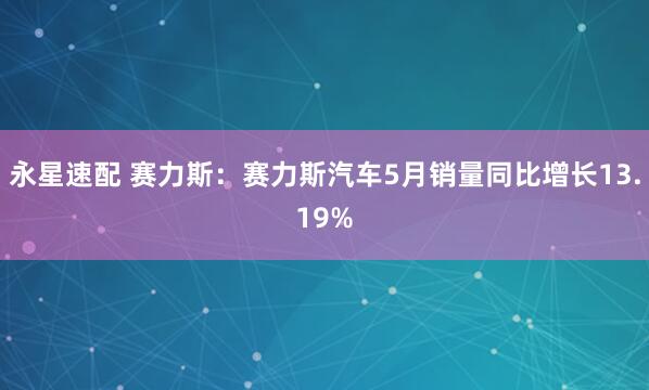 永星速配 赛力斯：赛力斯汽车5月销量同比增长13.19%