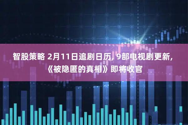 智股策略 2月11日追剧日历, 9部电视剧更新, 《被隐匿的真相》即将收官
