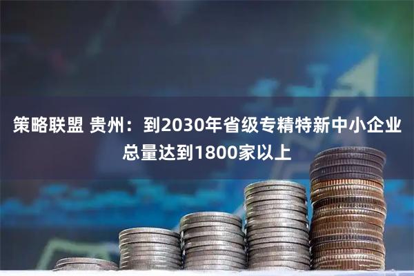 策略联盟 贵州：到2030年省级专精特新中小企业总量达到1800家以上