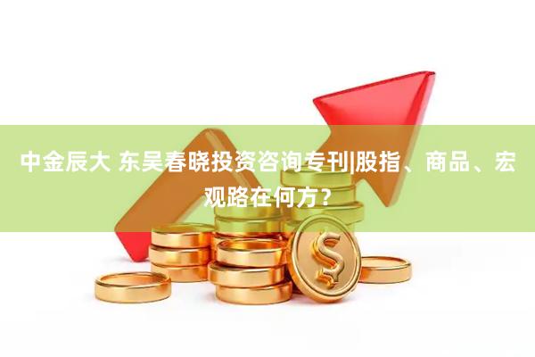 中金辰大 东吴春晓投资咨询专刊|股指、商品、宏观路在何方？